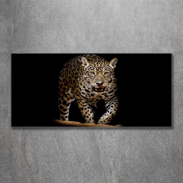 Foto glasbild Jaguar