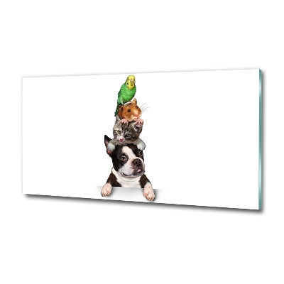 Bild auf glas Eine Gruppe von Tieren