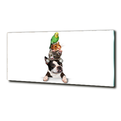 Bild auf glas Eine Gruppe von Tieren