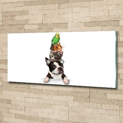 Bild auf glas Eine Gruppe von Tieren