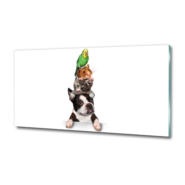 Bild auf glas Eine Gruppe von Tieren