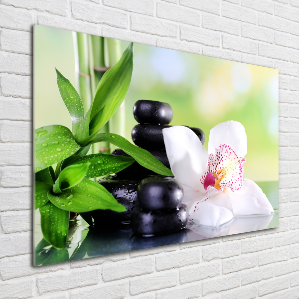Foto glasbild Orchidee