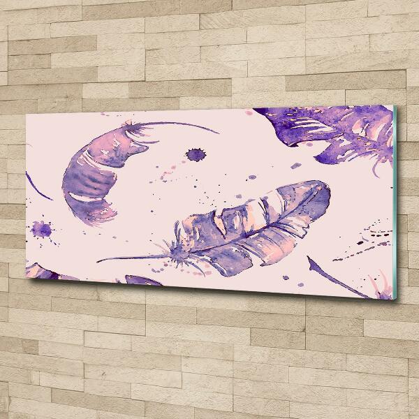 Bild auf glas Federn