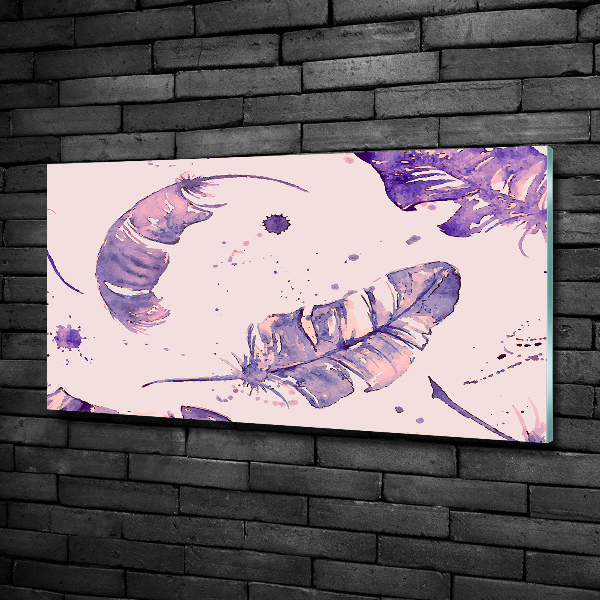 Bild auf glas Federn