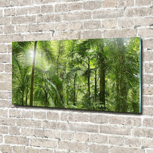 Glasbild Tropischer Wald