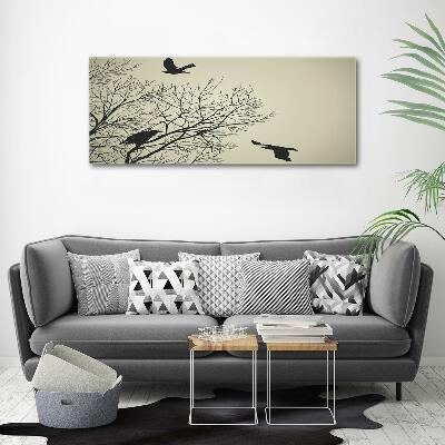 Foto glasbild Krähen auf einem Baum