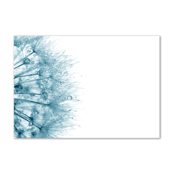 Foto glasbild Löwenzahn