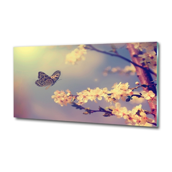 Bild auf glas Kirschblüte und Schmetterling
