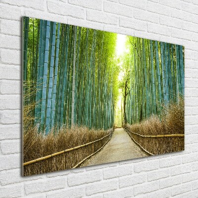 Foto glasbild Bambuswald