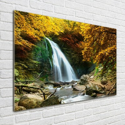 Bild auf glas Wasserfall im Wald