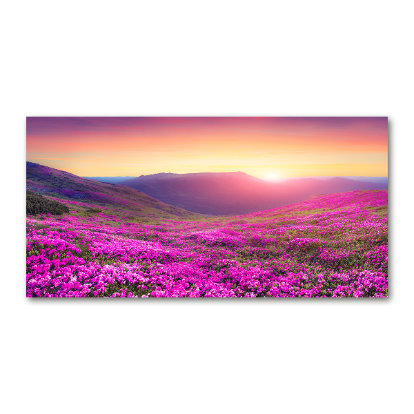 Glasbild Pink Hills