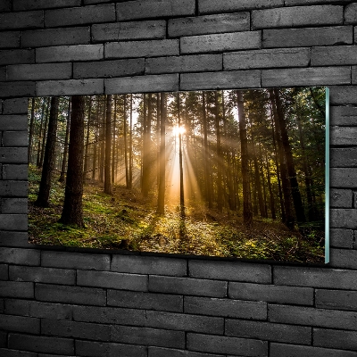 Foto glasbild Sonnenlicht