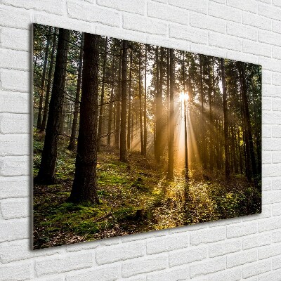 Foto glasbild Sonnenlicht