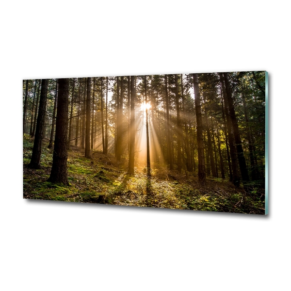 Foto glasbild Sonnenlicht