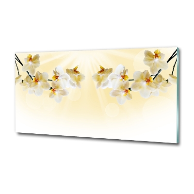 Bild auf glas Orchidee