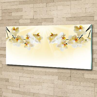 Bild auf glas Orchidee
