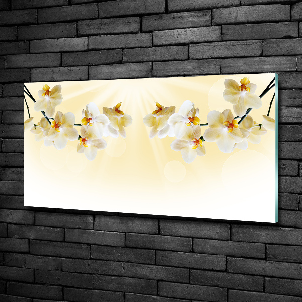 Bild auf glas Orchidee