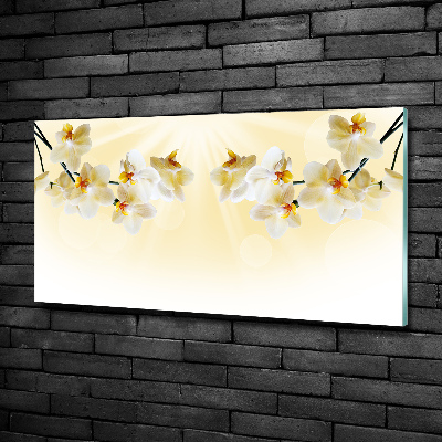 Bild auf glas Orchidee