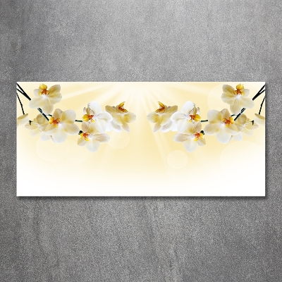 Bild auf glas Orchidee