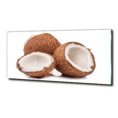 Glasbild Kokosnuss