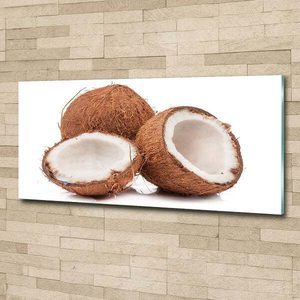 Glasbild Kokosnuss