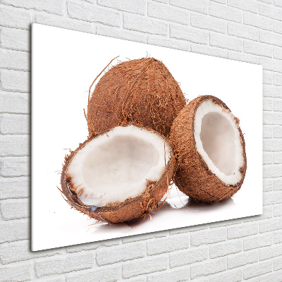 Glasbild Kokosnuss