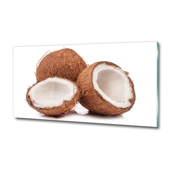Glasbild Kokosnuss