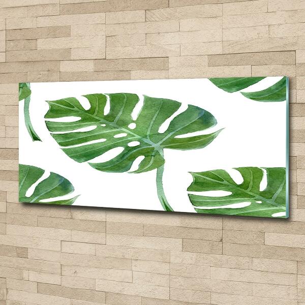 Bild auf glas Monstera