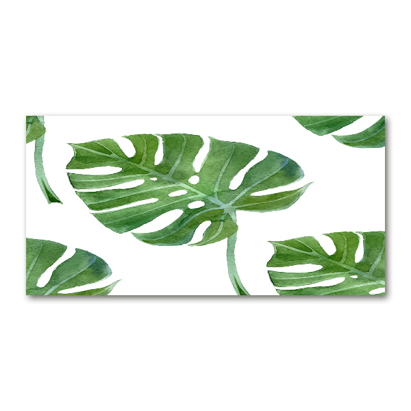 Bild auf glas Monstera