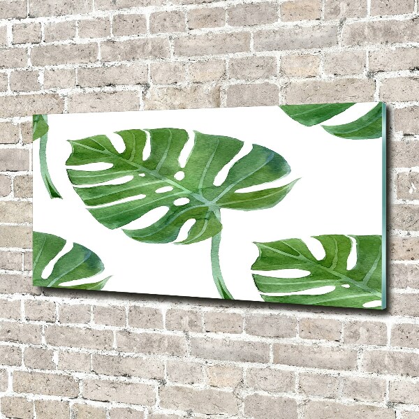 Bild auf glas Monstera