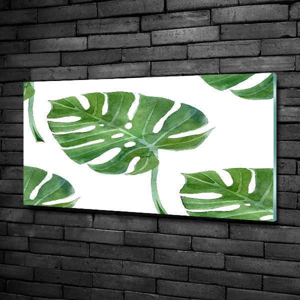 Bild auf glas Monstera
