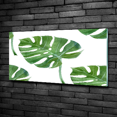 Bild auf glas Monstera