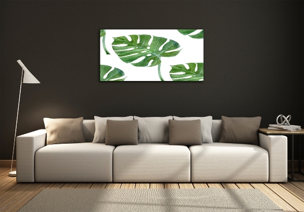 Bild auf glas Monstera