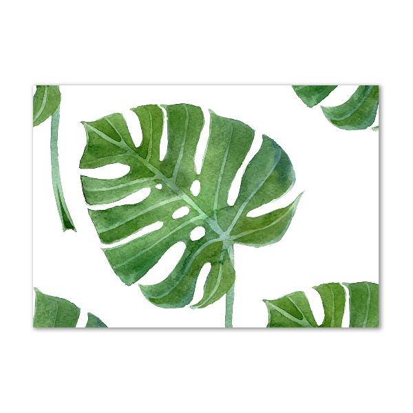 Bild auf glas Monstera