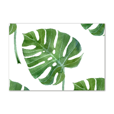 Bild auf glas Monstera