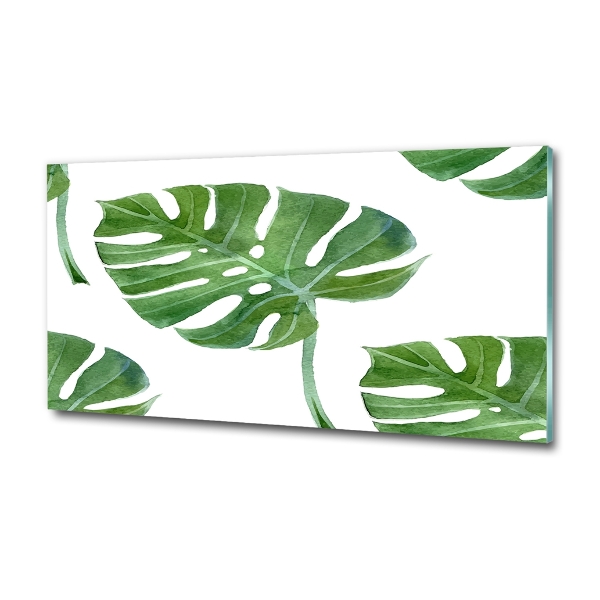 Bild auf glas Monstera