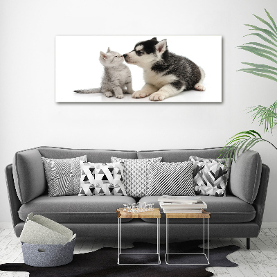 Glasbild Hund und Katze