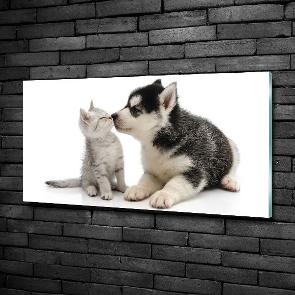 Glasbild Hund und Katze