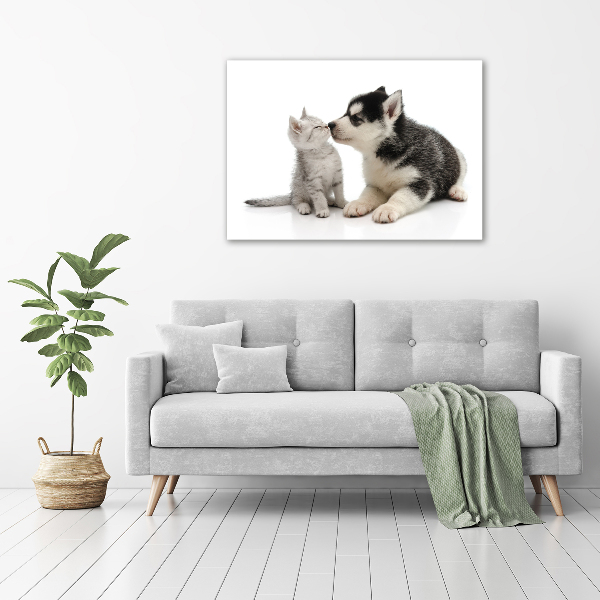 Glasbild Hund und Katze