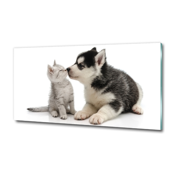 Glasbild Hund und Katze