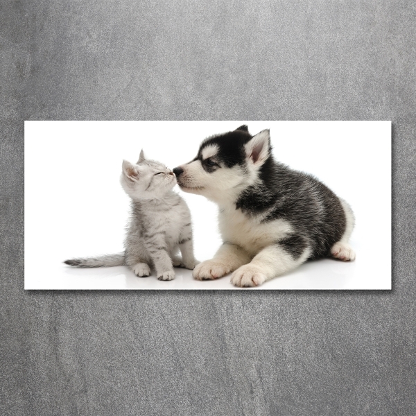 Glasbild Hund und Katze