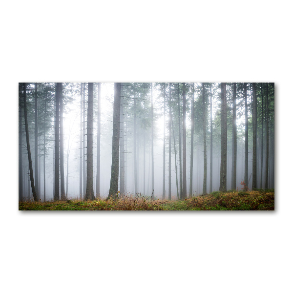 Foto glasbild Nebel im Wald