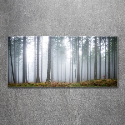 Foto glasbild Nebel im Wald