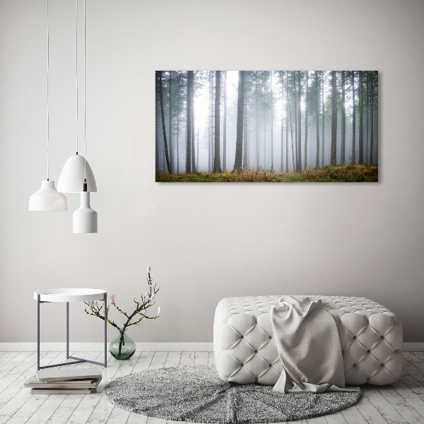 Foto glasbild Nebel im Wald