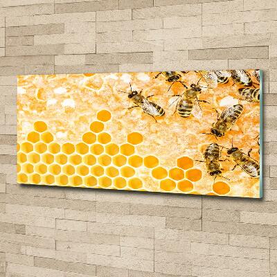 Glasbild Arbeitsbienen