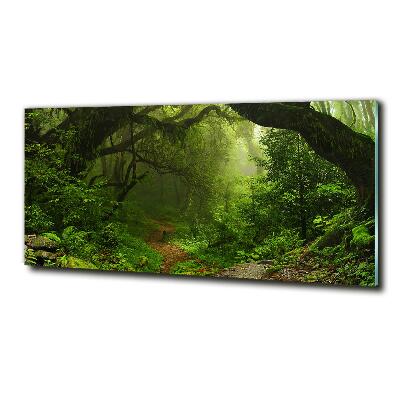 Foto glasbild Dschungel in Nepal