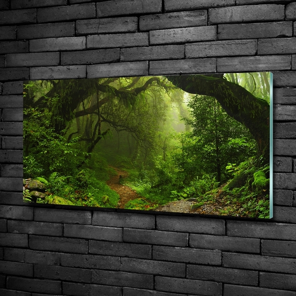 Foto glasbild Dschungel in Nepal
