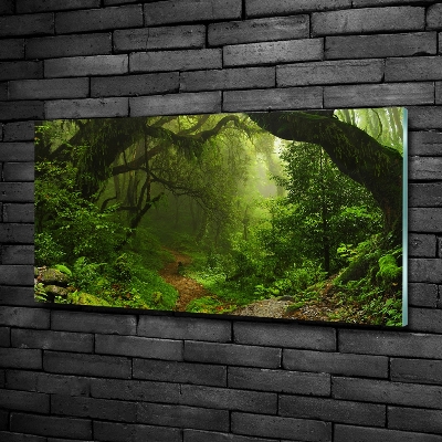 Foto glasbild Dschungel in Nepal