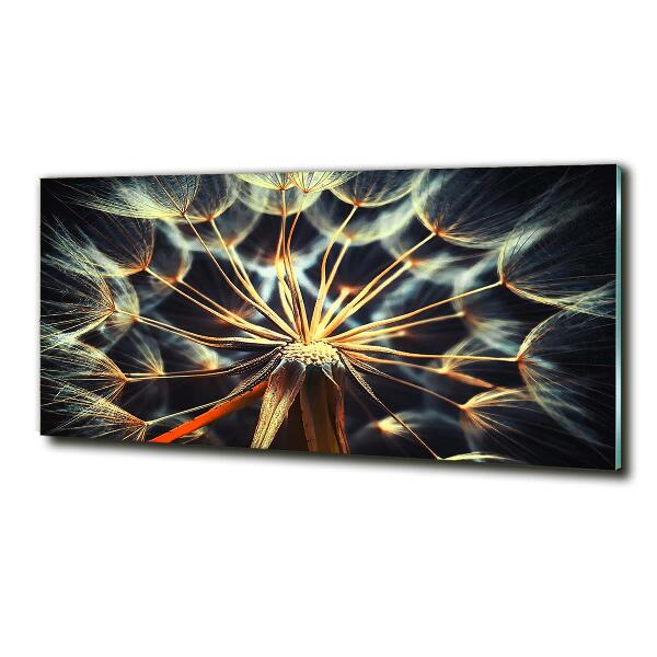 Bild auf glas Löwenzahn