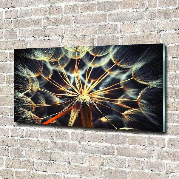 Bild auf glas Löwenzahn